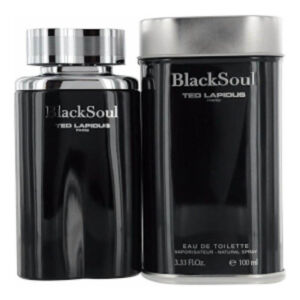 BLACK SOUL 100 ML (TED LAPIDUS)